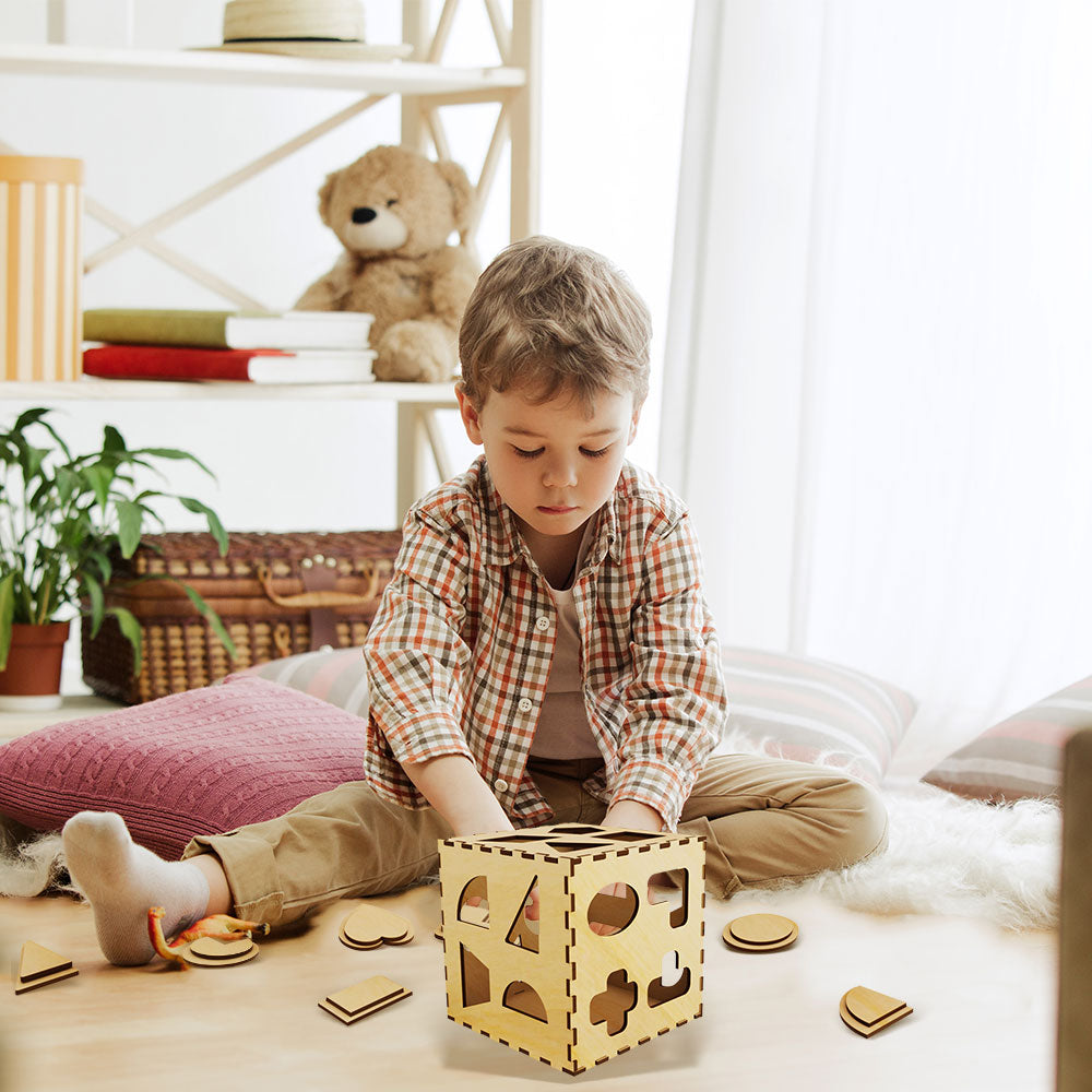Shapes Cognitive Toy