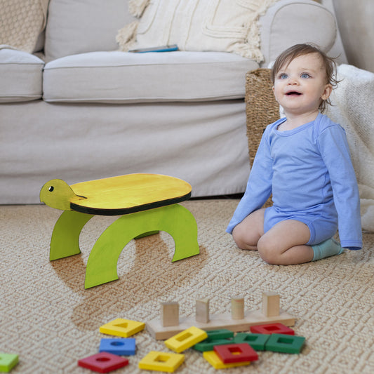 Little Turtle Assembled Stool