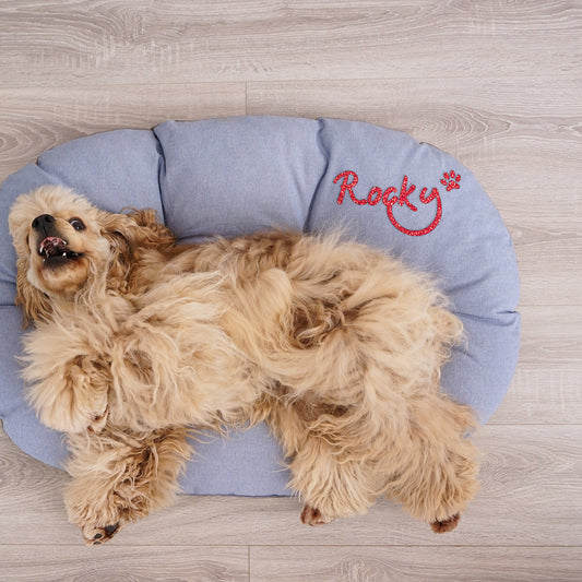 Heat Transfer Dog Names