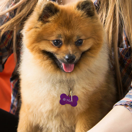 Metal Dog Tag Engraving