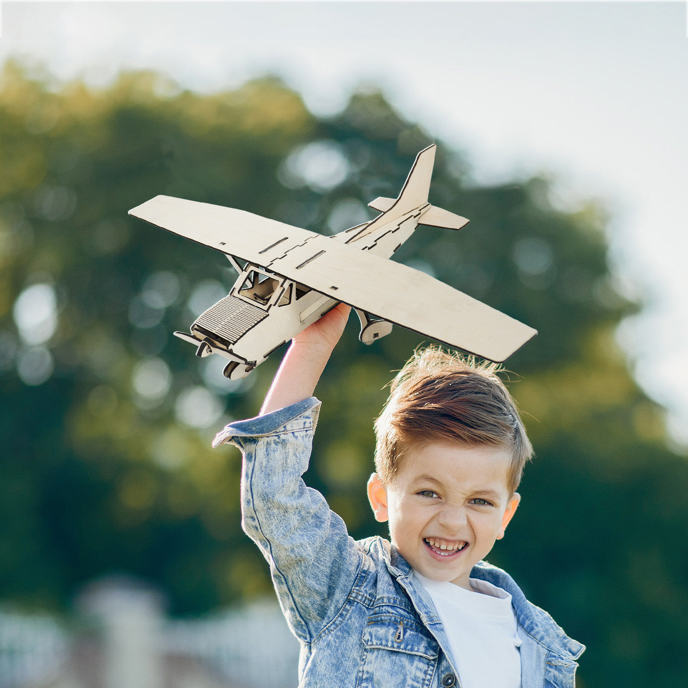 Wooden Airplane