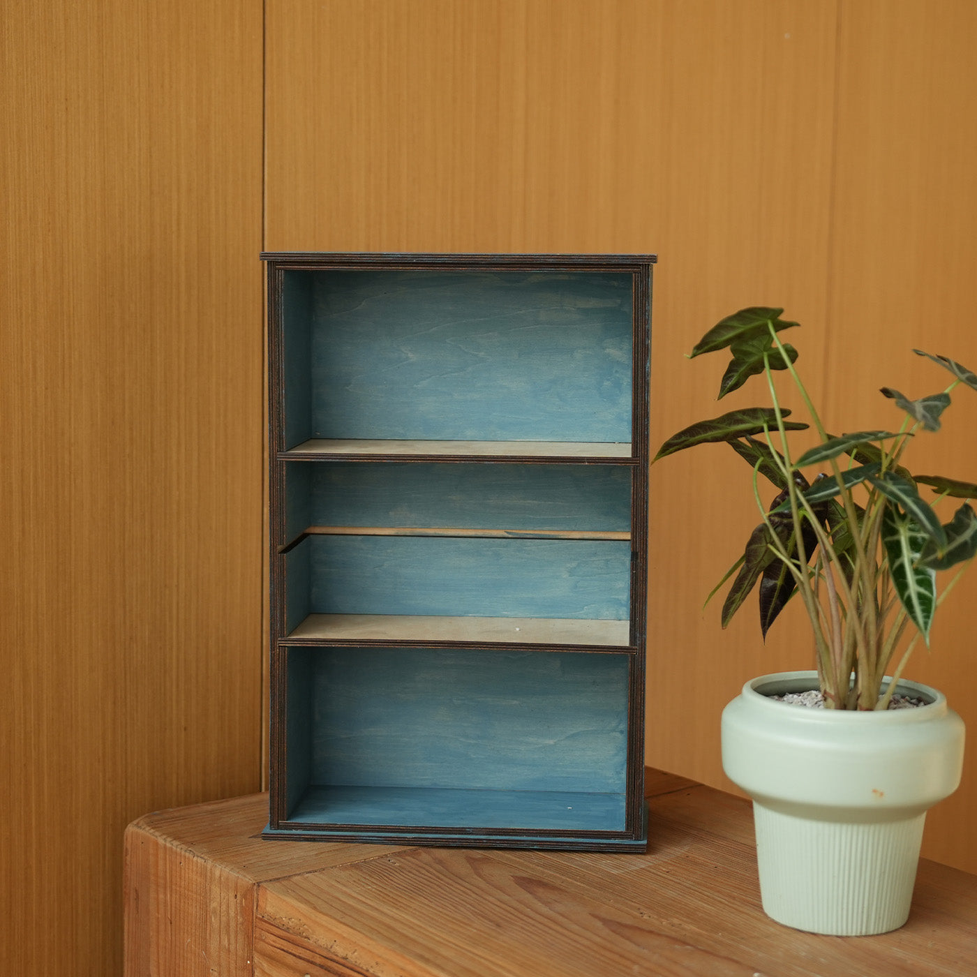Wooden Storage Cabinet
