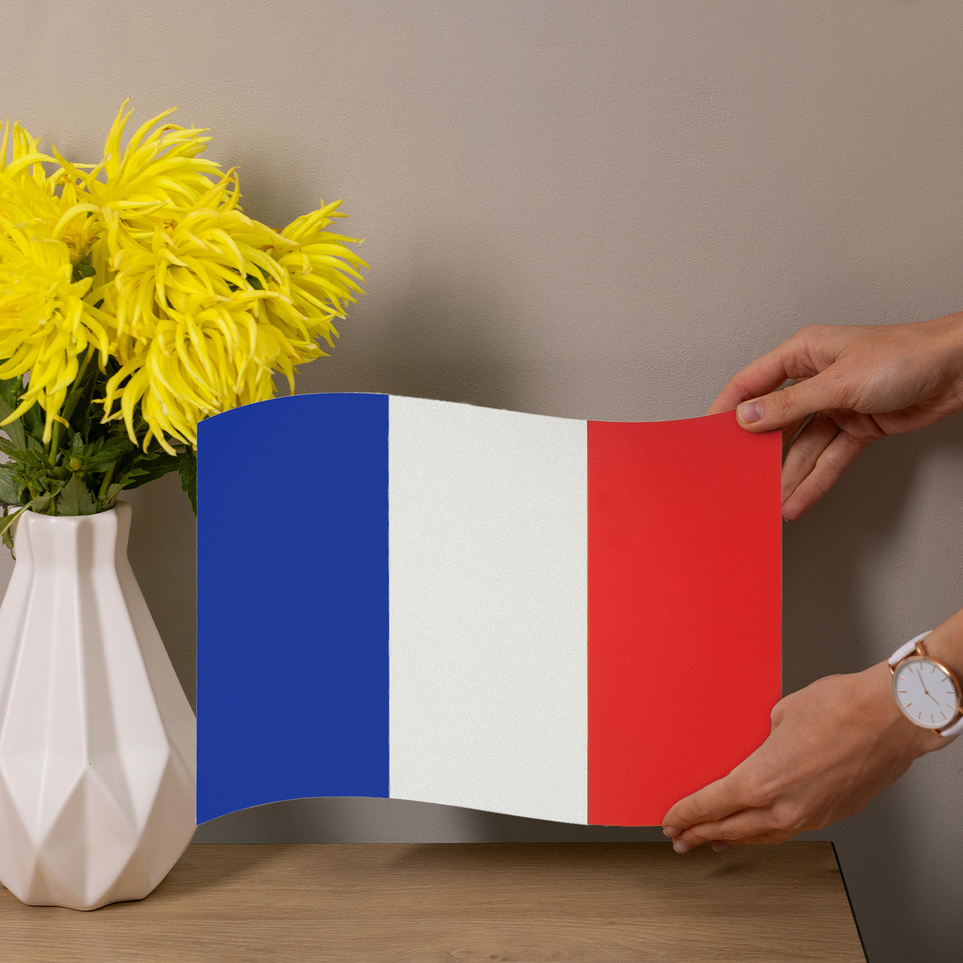 Flag of France