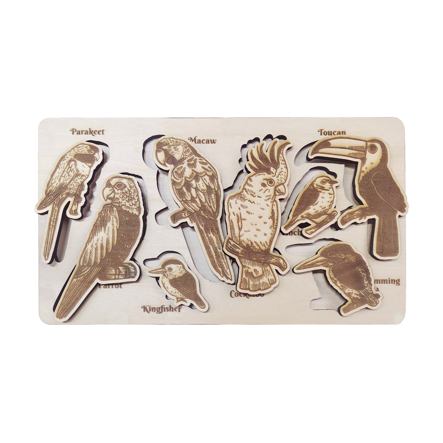 Bird Species Educational Puzzle