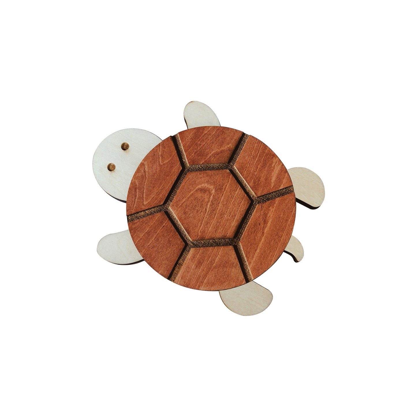 Turtle Coaster