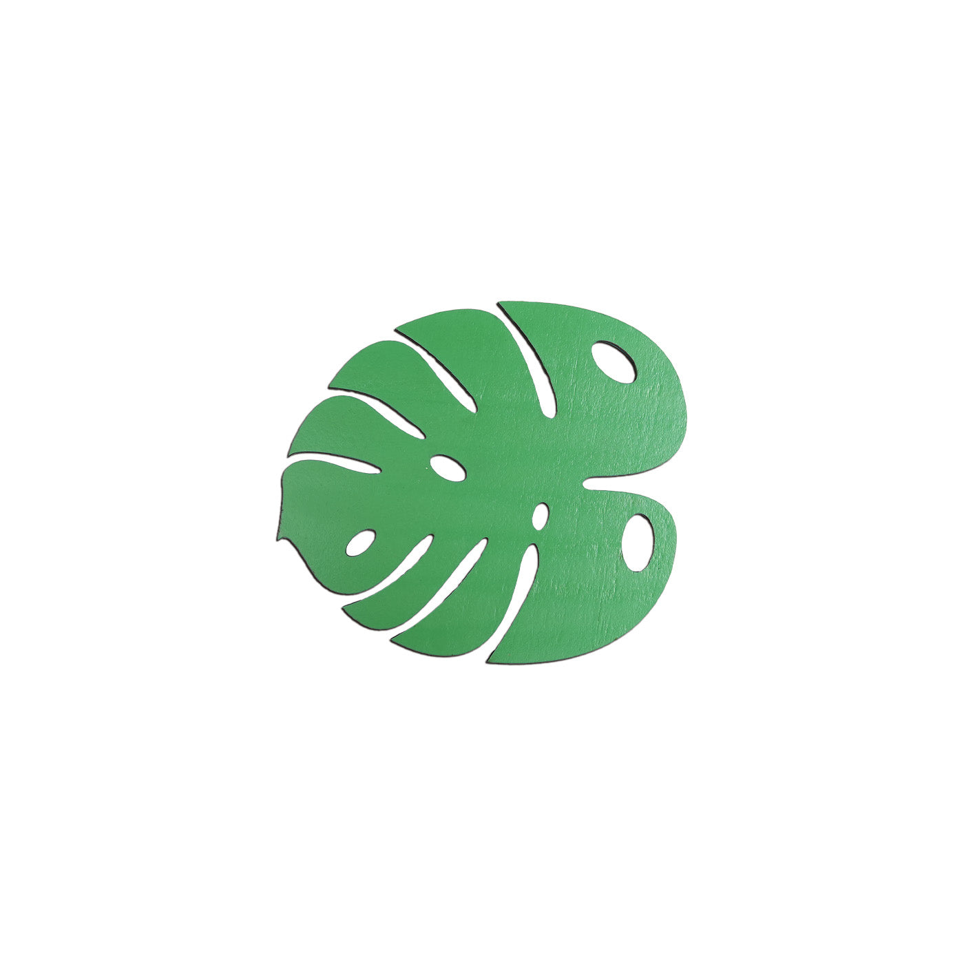Swiss Cheese Plant Coaster