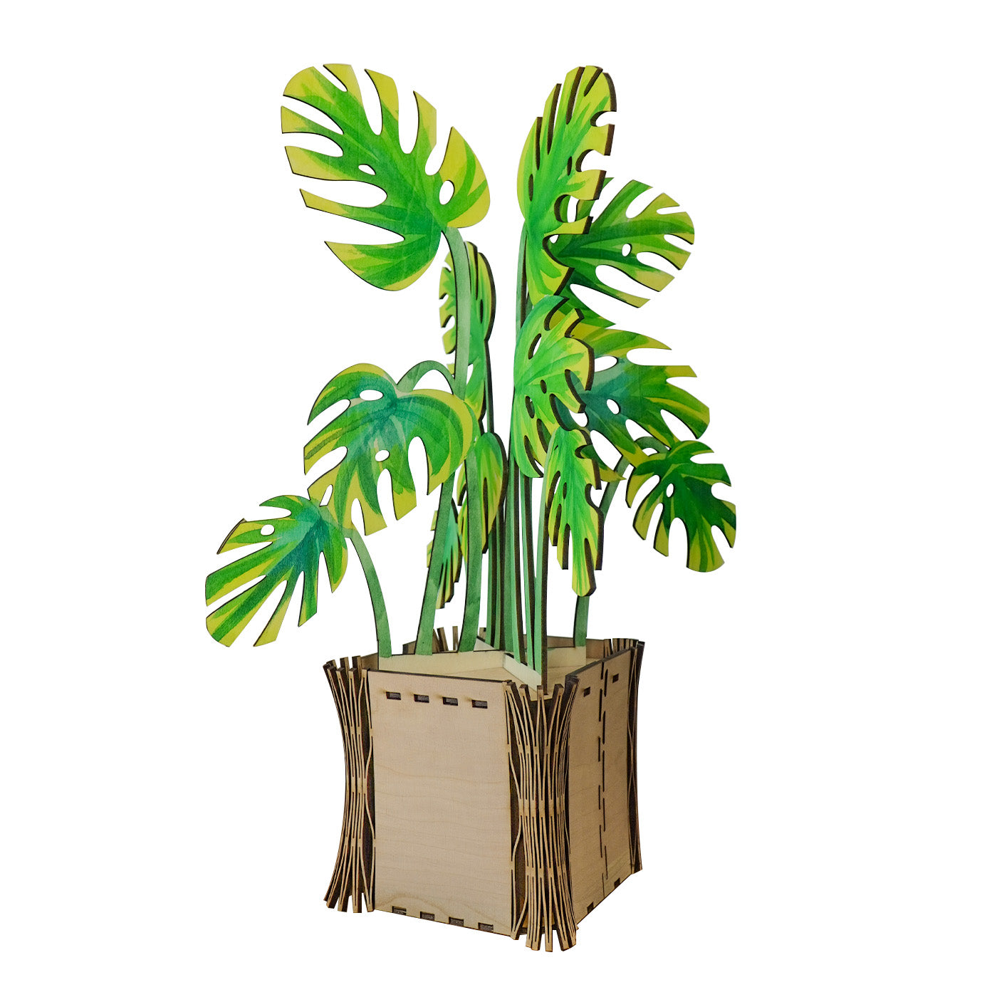 Monstera Potted Plant