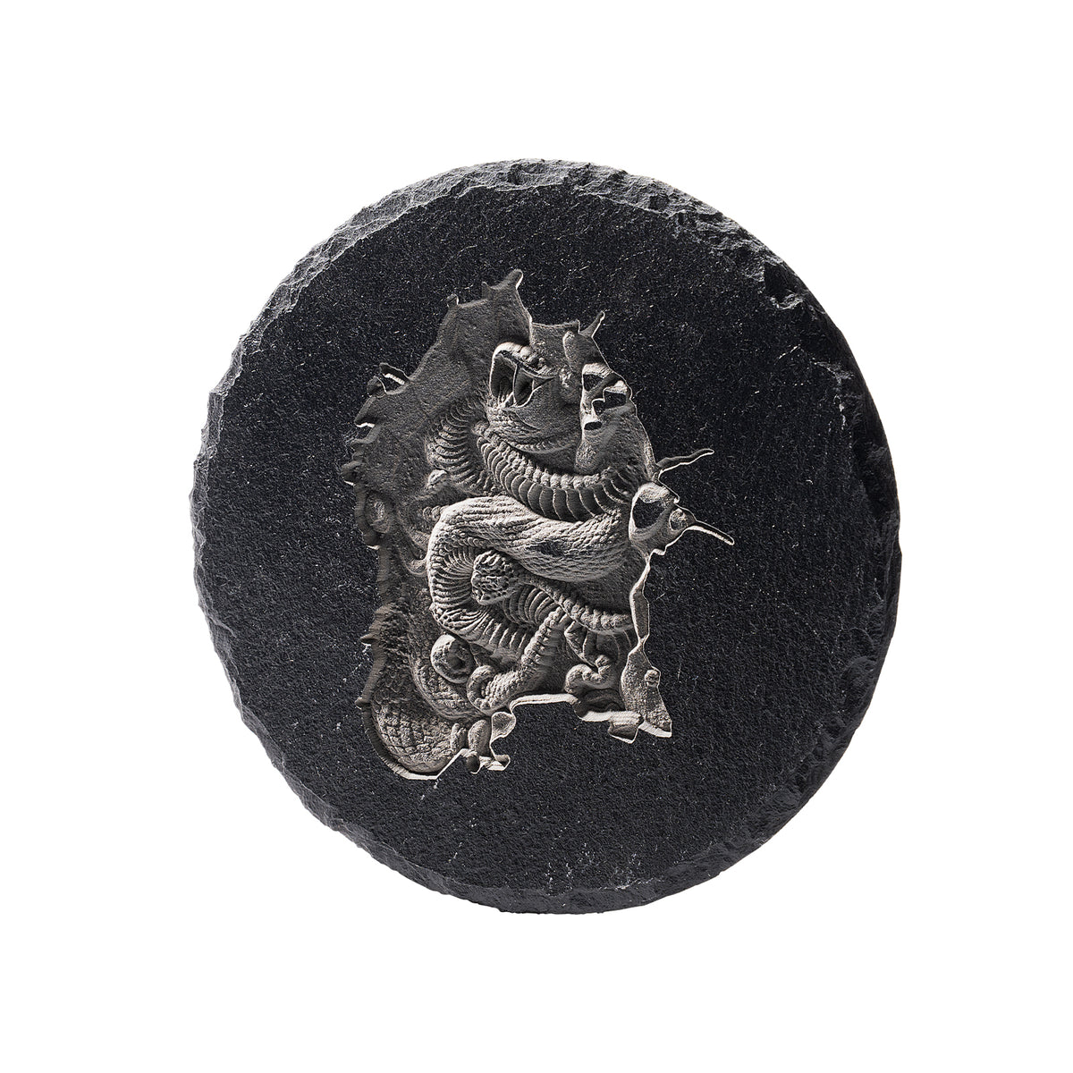 Snake Skeleton Slate Coaster Relief Engraving