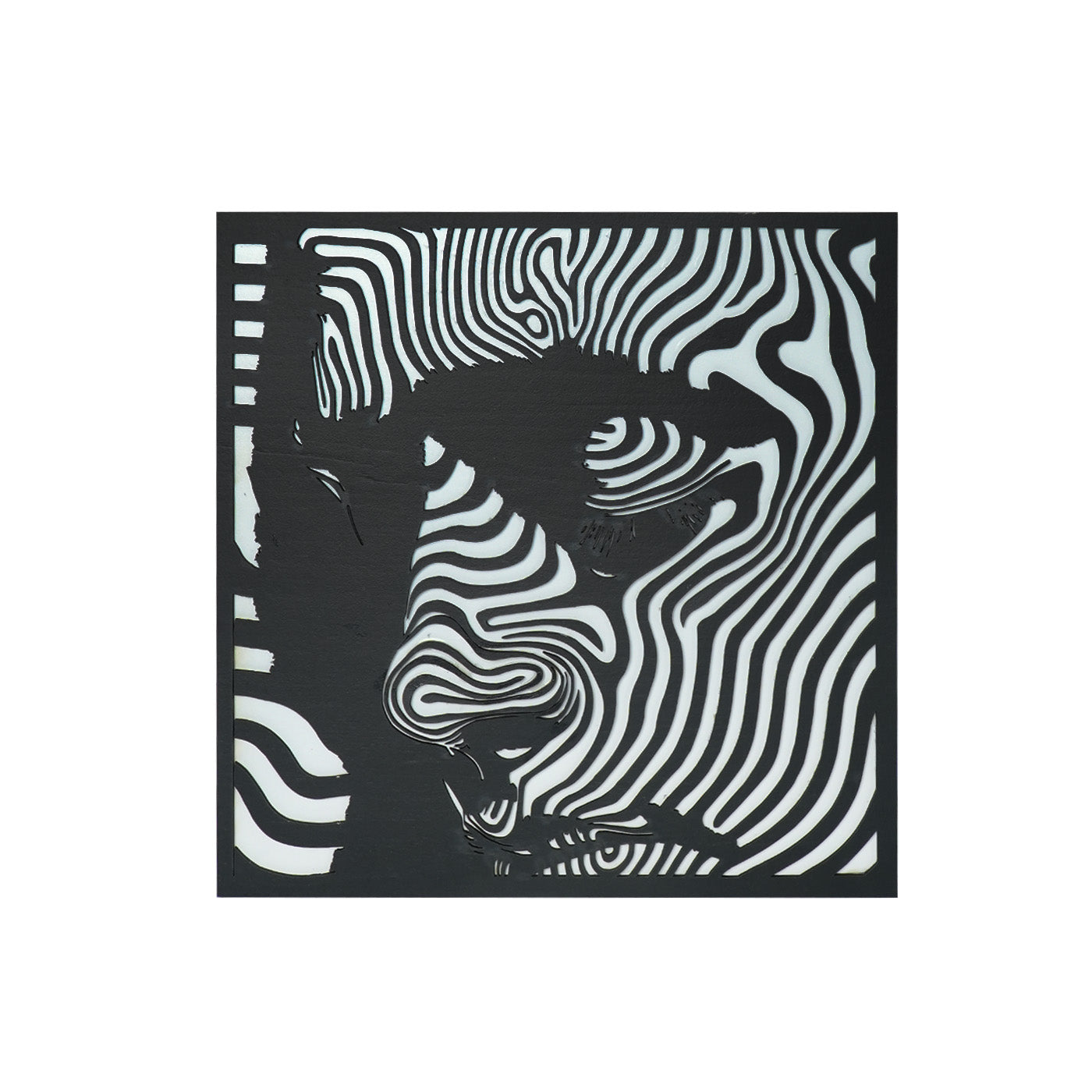 Visual Illusion Wall Painting