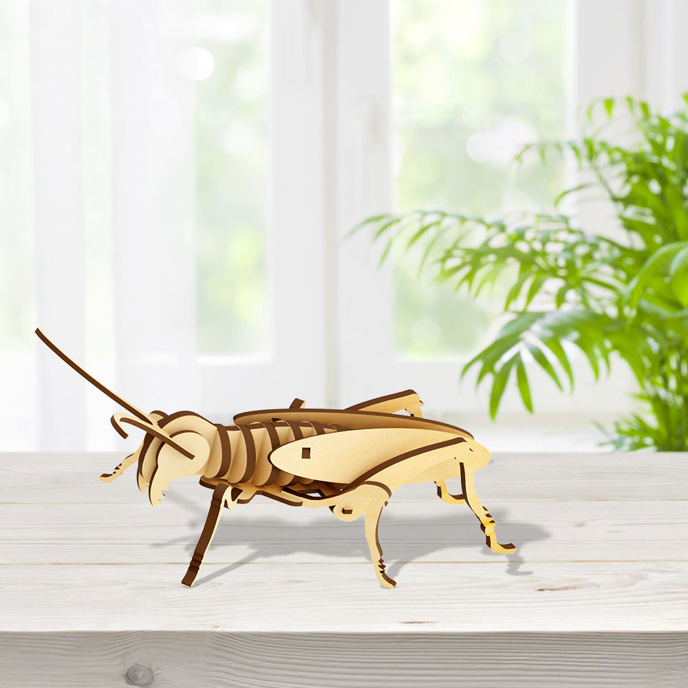 Locust Wooden Toy