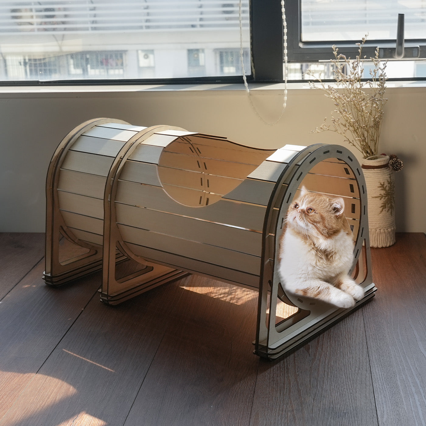 Cat Tunnel – WeCreat Projects